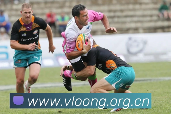 App Interface Preview